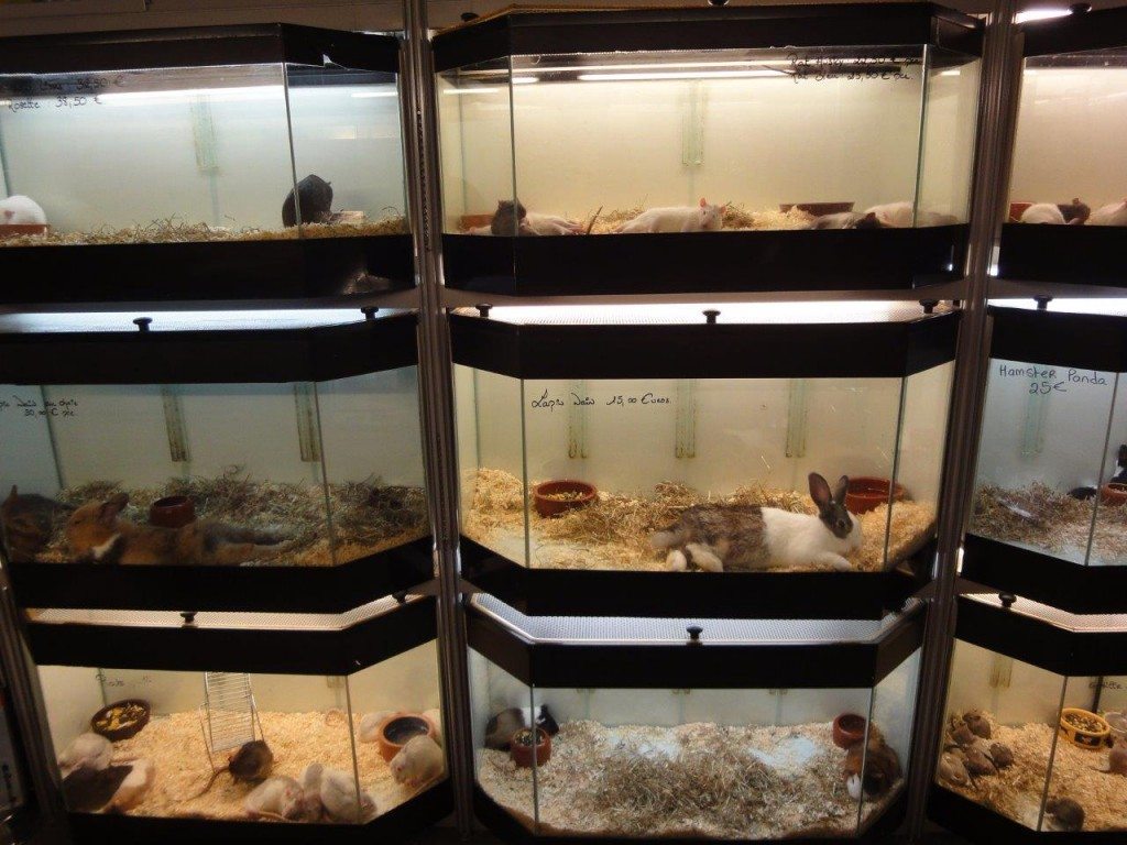 2012-05-03-Paris-Zoohandlungen-c-PETA-D-DSC03475