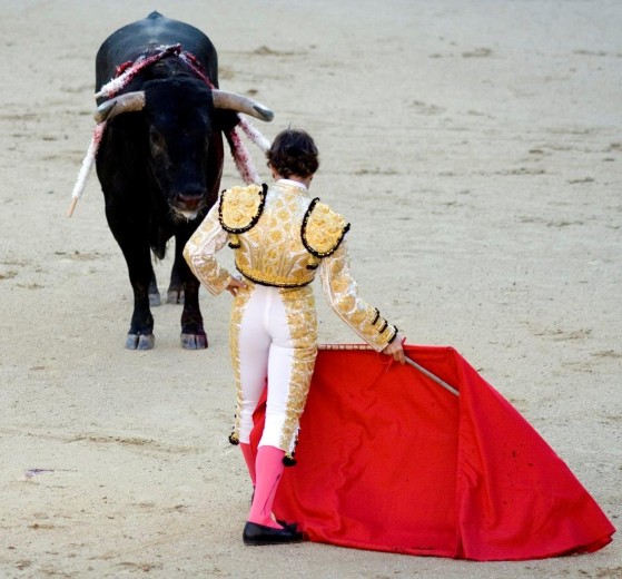Matador mit rotem Tuch vor einem Stier