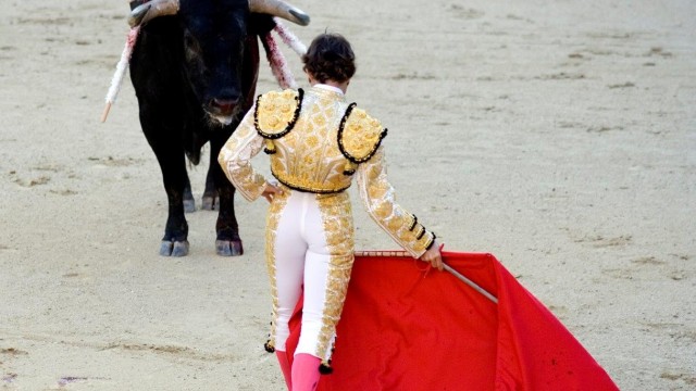 Matador mit rotem Tuch vor einem Stier