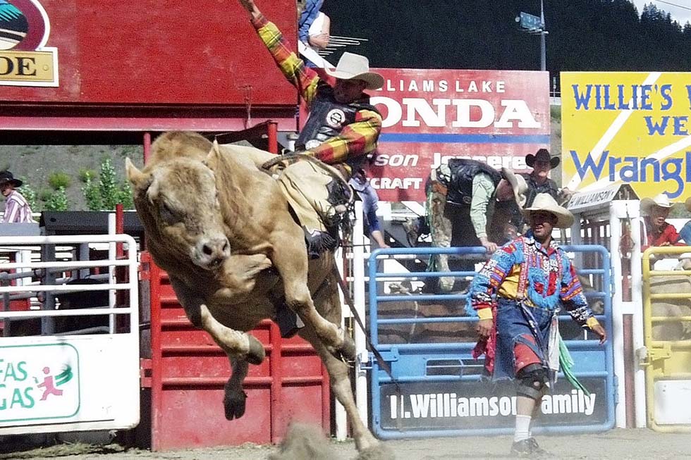 Ein Mann mit Cowboyhut reitet auf einem Bullen Rodeo.