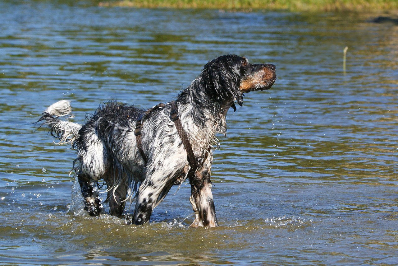 Was gibt es schöner als eine Abkühlung an heißen Sommertagen? Foto (c): PETA.