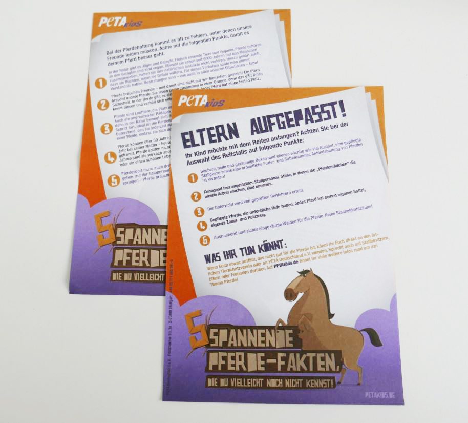 Bild-Pferdeflyer-heller