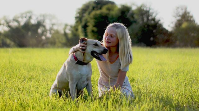 Maedchen sitzt mit Hund auf einer Wiese