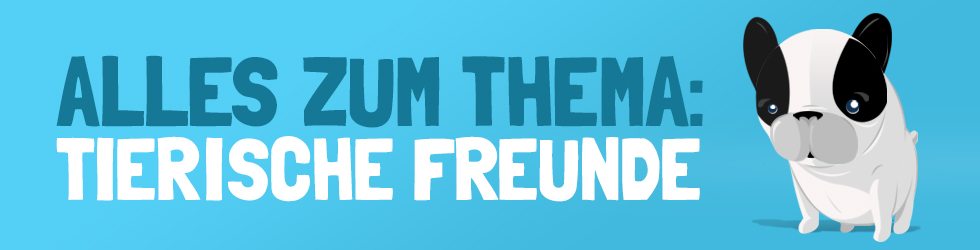 MKTK-2016-03-14-Teaser-Tierische-Freunde