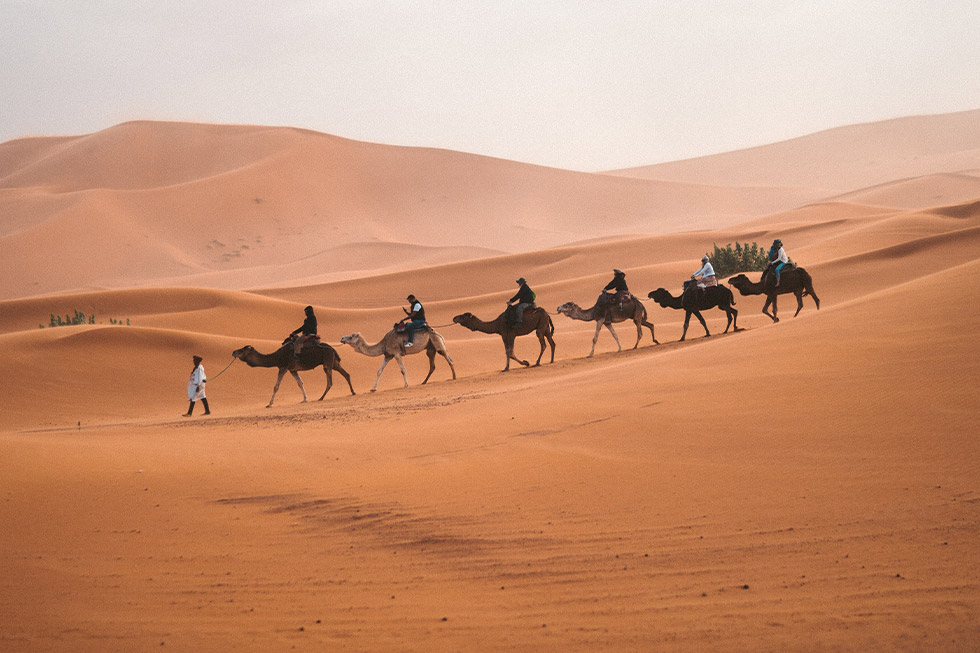 Karawane Touristen auf Kamelen