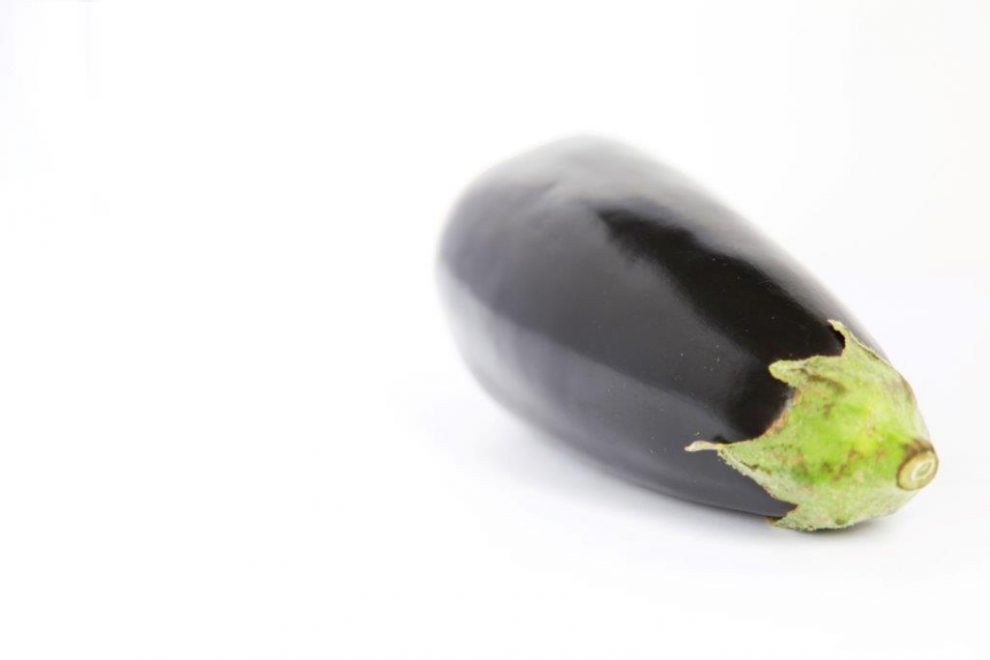 Vorsicht Diese Leckerlis sind giftig für Hund und Katz! PETAkids