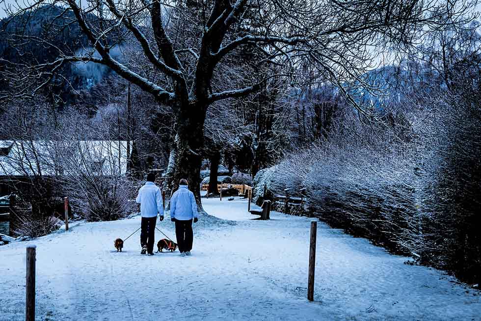 zwei menschen spazieren mit einem hund im schnee