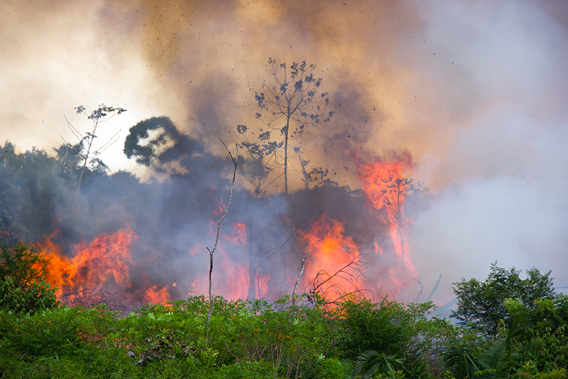 Waldbrand