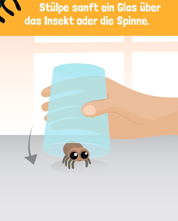 insekten-fangen-2 - PETAkids