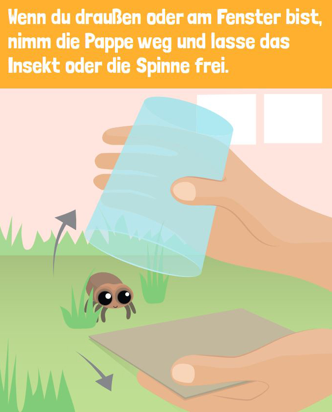 insekten-fangen-3-2 - PETAkids