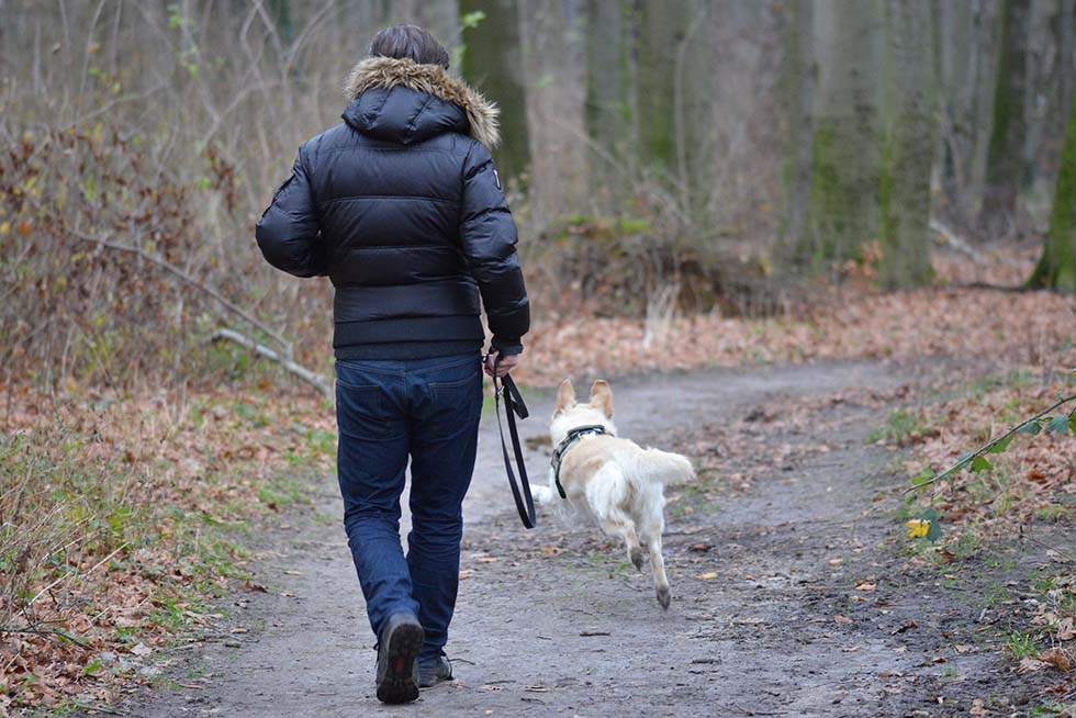 mann rennt mit hund im wald