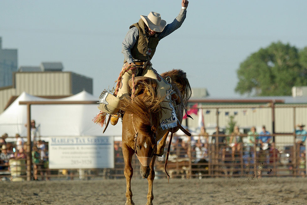 cowboy auf dem pferd