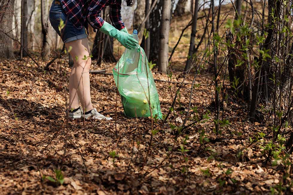 müll sammeln im wald