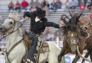 rodeo