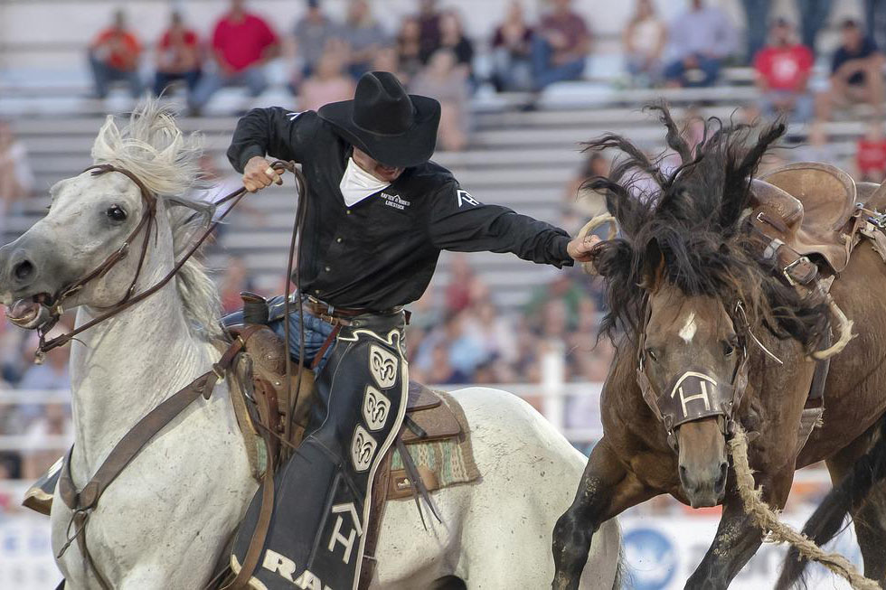 Ein Mann reitet Rodeo auf einem Pferd.