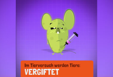 titelbild