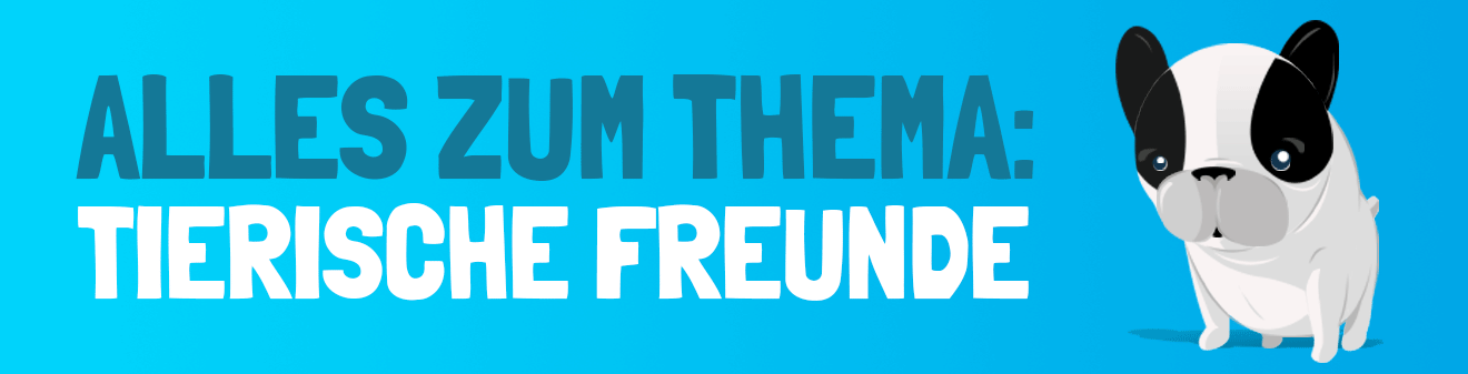 Teaser-Tierische-Freunde