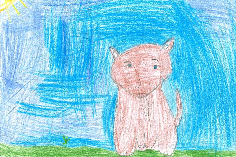 Gezeichnetes Bild zum PETA Kreativwettbewerb