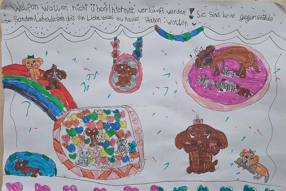 Gezeichnetes Bild zum PETA Kreativwettbewerb