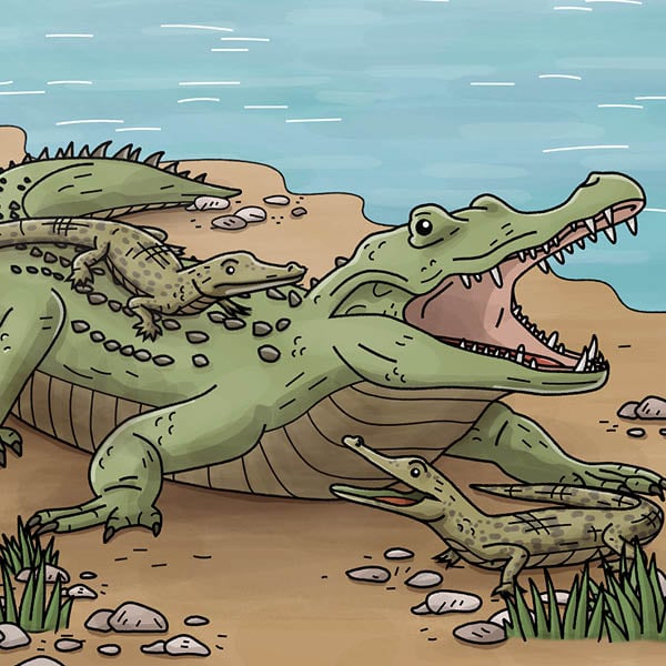Ein Krokodil mit zwei Krokodilskinder