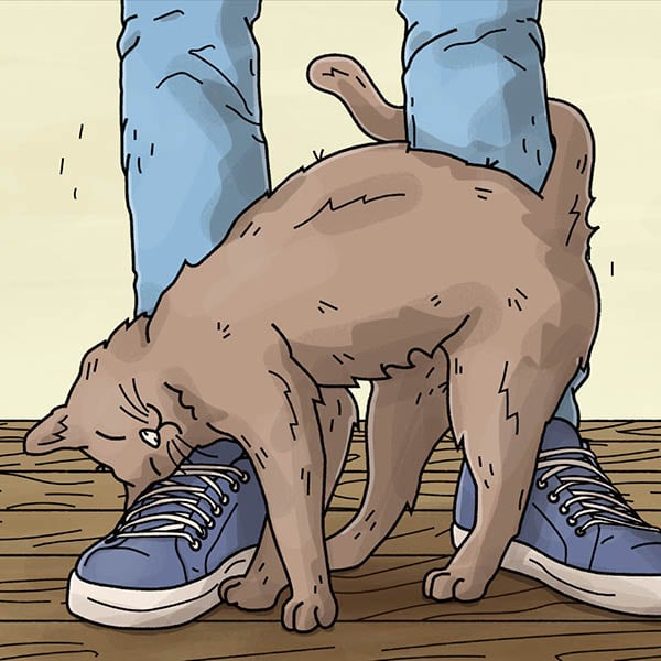 Eine illustrierte Katze schmust sich ans Bein eines illustrierten Menschen