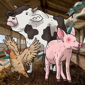 Eine illustrierte Kuh, Ferkel und Huhn stehen in einem Stall