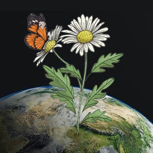Eine illustrierte Blume und Schmetterling stehen auf der Erdkugel